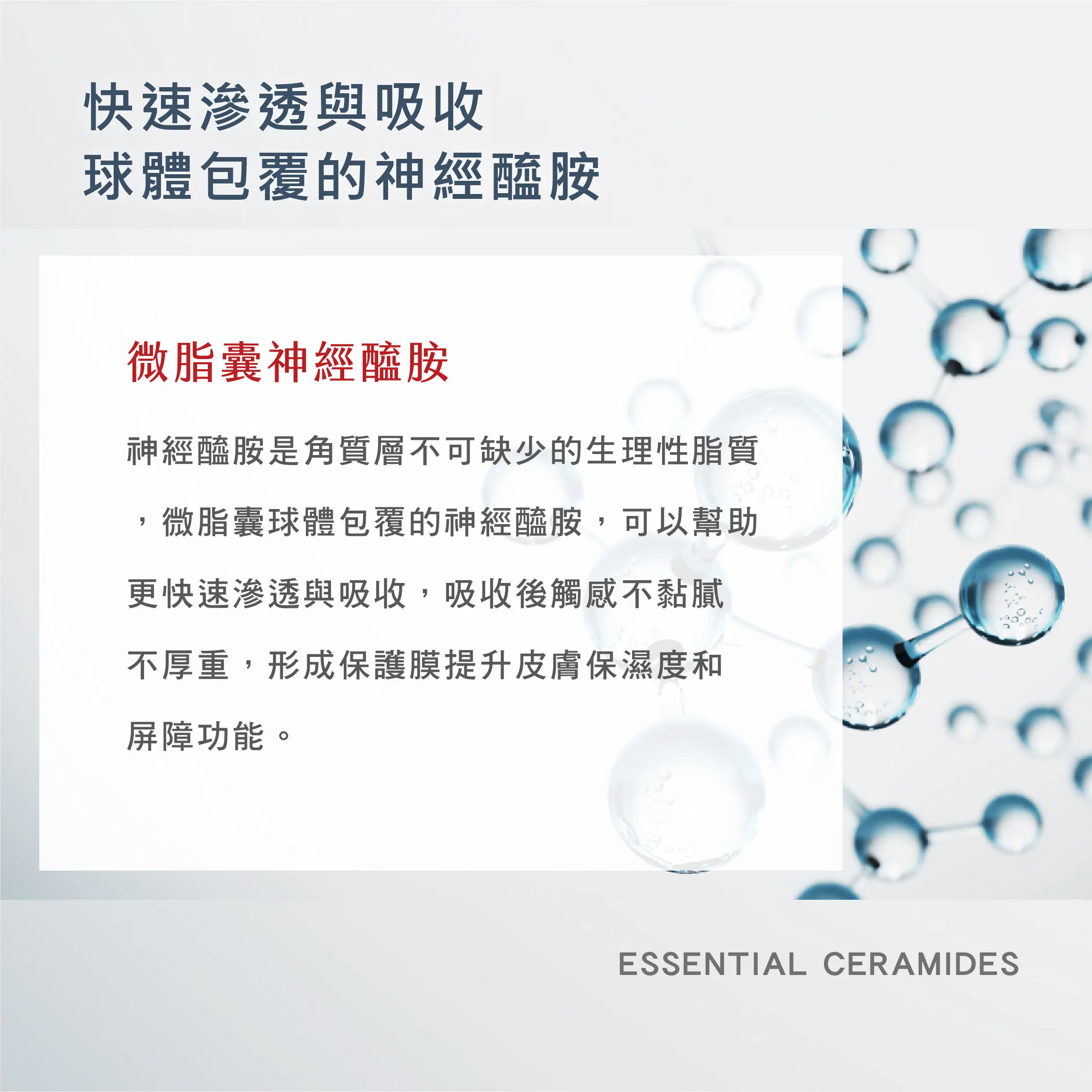 神經醯胺5