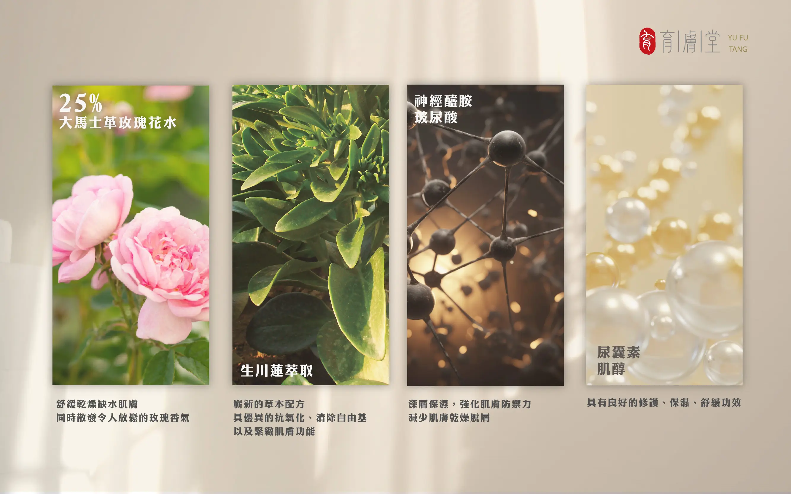 浸潤精華水5