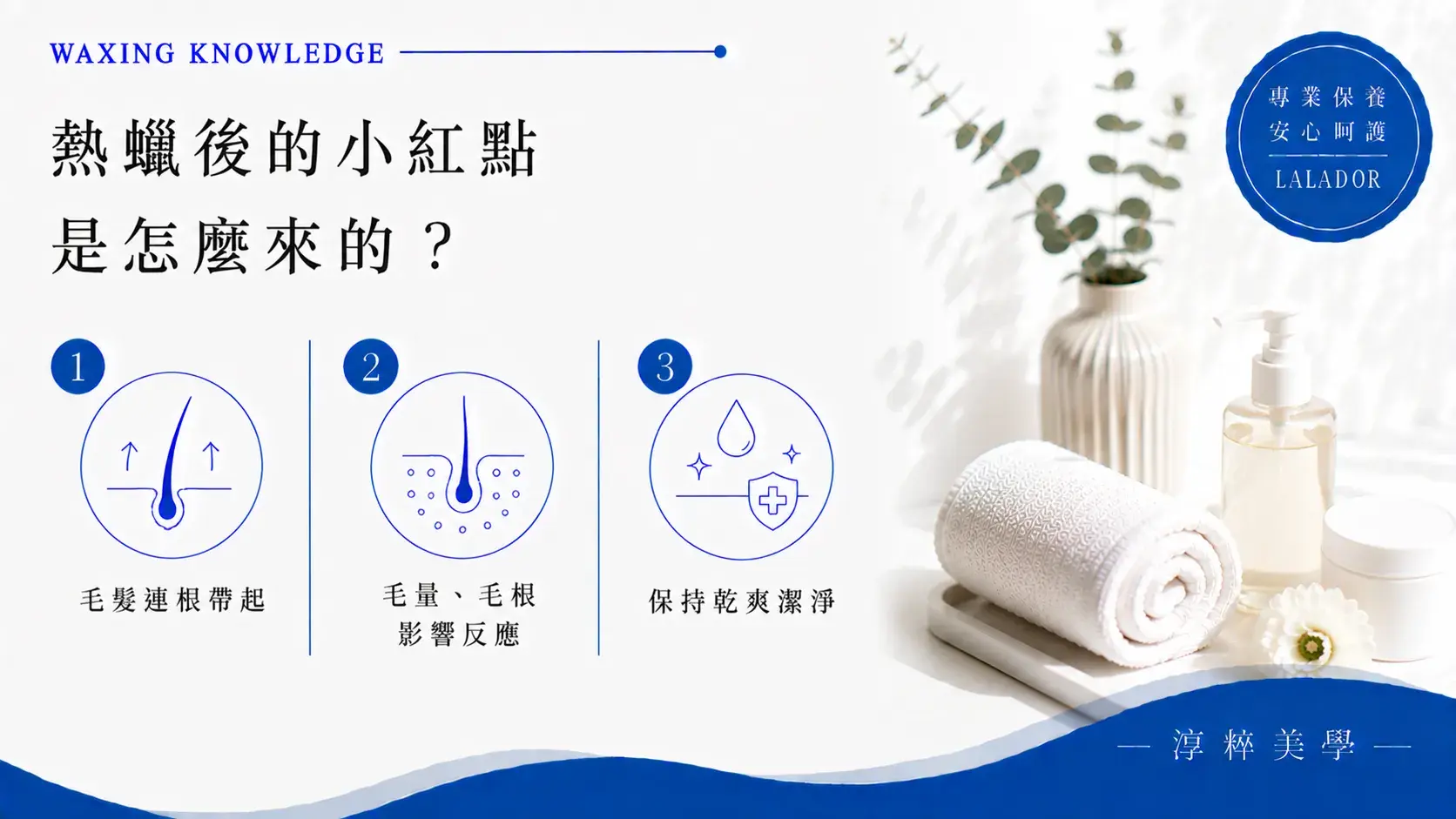 私密熱蠟將毛髮連根帶起後，毛囊周圍細小微血管可能出現輕微出血，形成暫時性小紅點 Intimate Wax Red Dots After Waxing