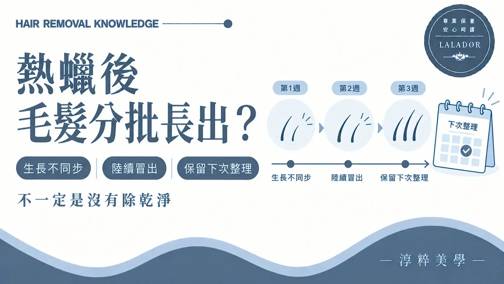 熱蠟除毛後因不同毛髮生長階段而分批長出並陸續出現的知識圖Hair Regrowth In Stages After Waxing